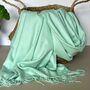 Super Soft Plain Pashmina Style Scarf In Mint, thumbnail 1 of 4