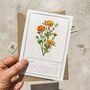 Set Of Six Pink, Orange And Yellow Floral Notecards And Envelopes, thumbnail 5 of 11