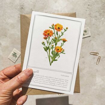 Set Of Six Pink, Orange And Yellow Floral Notecards And Envelopes, 5 of 11