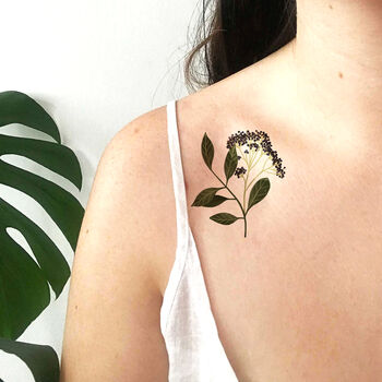 Colour Ferns And Florals Temporary Tattoos, 7 of 7