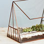 Large Recycled Glass Greenhouse Succulent Terrarium, thumbnail 6 of 6