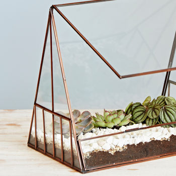 Large Recycled Glass Greenhouse Succulent Terrarium, 6 of 6