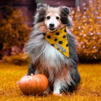 Personalised Dog Spooky Halloween Fancy Dress Bandana, 2 of 5