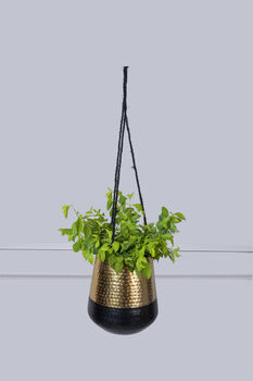 Golden And Black Hanging Plant Pot, 4 of 4
