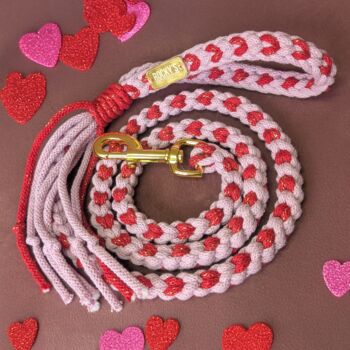 Heart Pattern Pink With Red Valentine's Day Make Your Own Dog Lead Craft Kit, 5 of 8