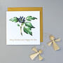 Christmas Card With Ivy Illustration, thumbnail 1 of 3