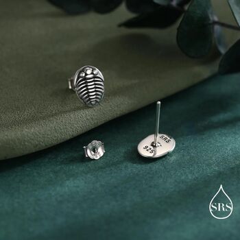 Oxidised Trilobite Fossil Stud Earrings In Sterling Silver, 2 of 11