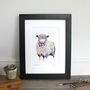 Longwool Sheep Lavender Yarns Giclee Fine Art Print, thumbnail 1 of 3