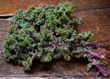 Kale 'Red Russian' Nine X Plug Plant Pack, 4 of 5