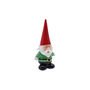 Glass Garden Gnome In Gift Boxed, thumbnail 3 of 4