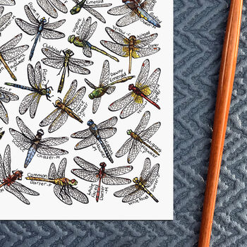 Dragonflies Of Britain Watercolour Postcard, 7 of 7