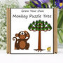 Gardening Gift. Grow Your Own Monkey Puzzle Tree, thumbnail 1 of 7
