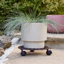 Dannes Round Scrolled Plant Trolley, thumbnail 3 of 5