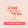 Plant A Birthday Wish Wildflower Seeds, thumbnail 1 of 2