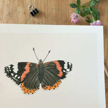 ‘Red Admiral’ Butterfly A5 Giclée Art Print, 2 of 2