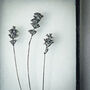 Three Pressed Flower Frames: Massasa And Lavender, thumbnail 6 of 12