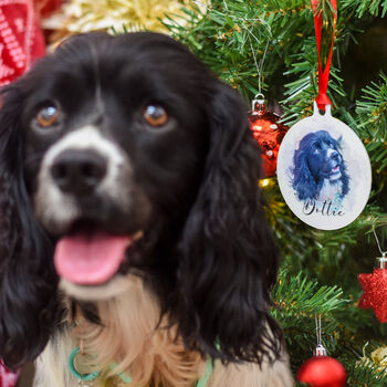 Personalised Pet Photo Christmas Bauble Decoration, 4 of 12