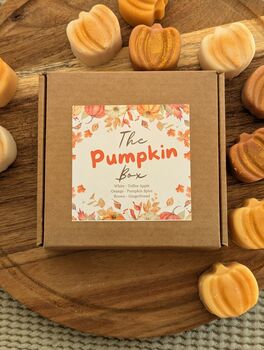 Pumpkin Wax Melt Selection Box Autumnal Scent Wax Melt, 3 of 8