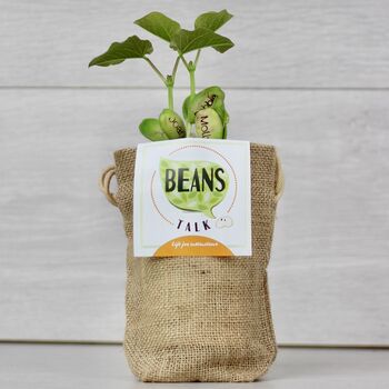 Pack Of Five Message Beanstalk Seeds, 6 of 9