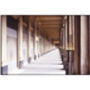 Jardin Du Palais Royal, Paris Photographic Art Print, thumbnail 3 of 4
