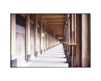 Jardin Du Palais Royal, Paris Photographic Art Print, 3 of 4
