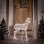 Duchy Doe Dual Colour Micro LED Light Up Reindeer, thumbnail 2 of 6