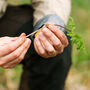 Forage And Feast Experience In The Northwest, thumbnail 1 of 12