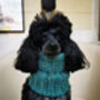 Conifer Green Roll Top Dog Snood, thumbnail 2 of 4