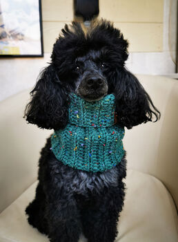 Conifer Green Roll Top Dog Snood, 2 of 4