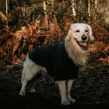 Golden Retriever Polartec Water Resistant Dog Coat, 3 of 6