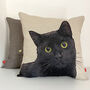 Black Cat Feature Cushion, thumbnail 3 of 6