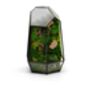 Large Geometric Terrarium | 'Boa Vista', thumbnail 4 of 6