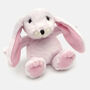 Mini Baby Pink Bunny Soft Toy, From Birth, Gift Boxed, thumbnail 1 of 9