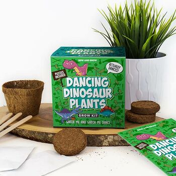 Grow Your Own Dancing Dinosaurs Plant, 2 of 2