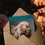 Surprised Cockapoo Dog How Old Funny Animal Birthday Card, thumbnail 3 of 5