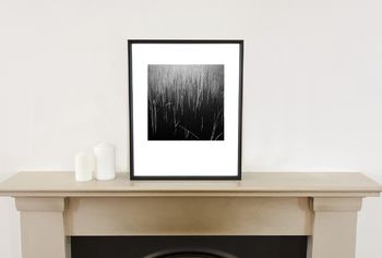 Water Reeds, Lopham Fen, Suffolk Photographic Art Print, 2 of 4