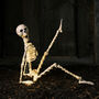 Micro LED Light Up Skeleton Halloween Decoration, thumbnail 5 of 12