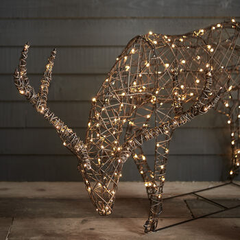 Studley Rattan Grazing Stag Light Up Reindeer, 3 of 3