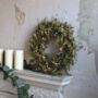 Boxwood Wreath, thumbnail 3 of 4