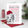 Christmas Card For Border Collie Dog Lovers, thumbnail 1 of 6