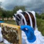 The Magic Of Bees Experience In Manchester, thumbnail 6 of 12