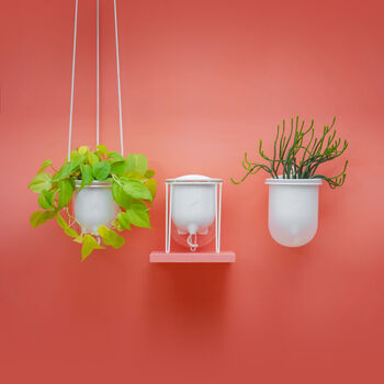 Flo, Self Watering Ceramic And Glass Hanging Planter, 5 of 10