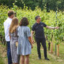 Cheese And Wine Tasting Experience At Chapel Down Vineyard, thumbnail 9 of 11