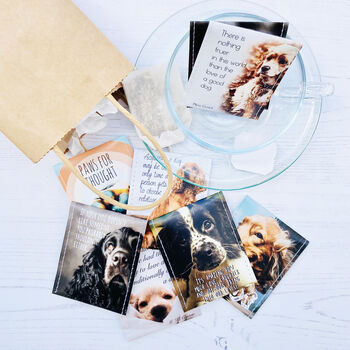 Cocker Spaniel Lovers Tea Gift | Dog Lovers Gift, 3 of 12