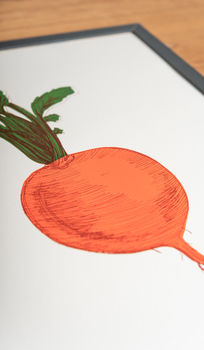 Orange Swede Vegetable Wall Art, 4 of 4