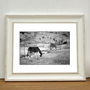 Donkeys, The Merinid, Fes Photographic Art Print, thumbnail 1 of 4