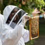 The London Beekeeping And Craft Beer Tasting Experience, thumbnail 3 of 8