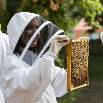 The London Beekeeping And Craft Beer Tasting Experience, 3 of 8