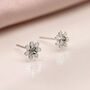 Tiny Sterling Silver Cz Daisy Flower Stud Earrings, thumbnail 1 of 11