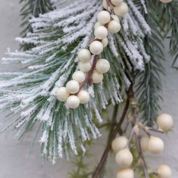 White Berry And Frosted Fir Cone Spray, 4 of 4